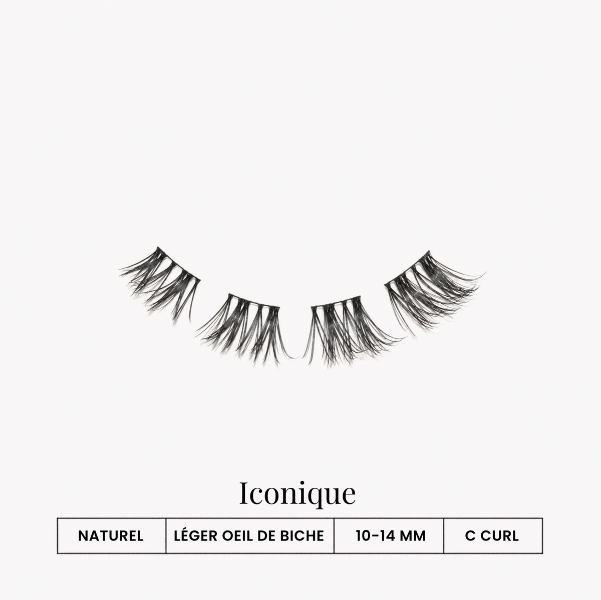 KIT DE DÉMARRAGE - Iconique