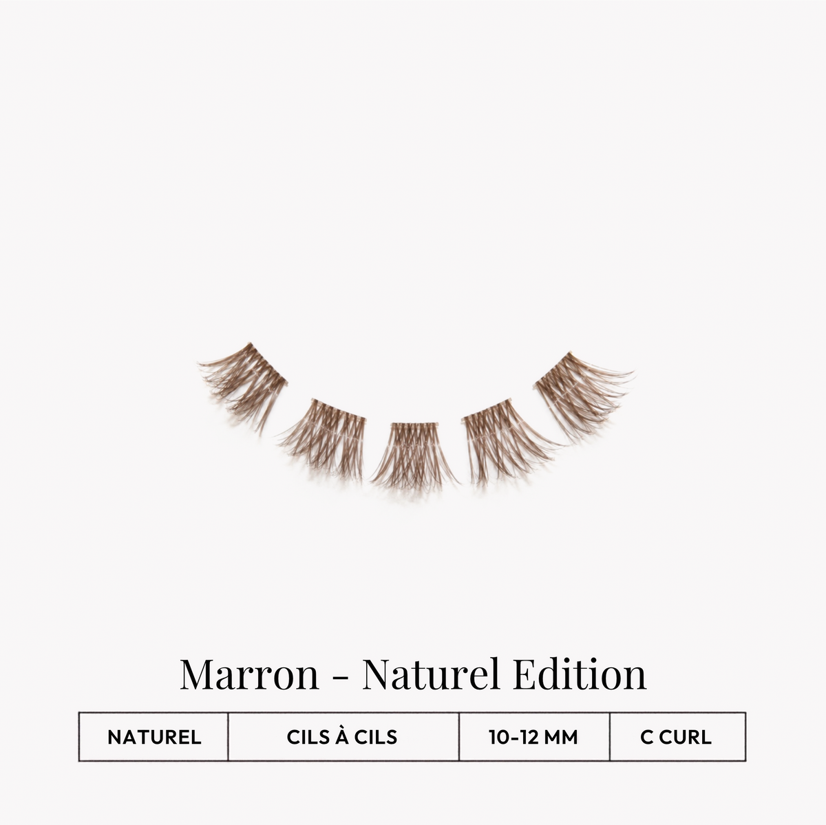 SET DE DÉMARRAGE - Marron